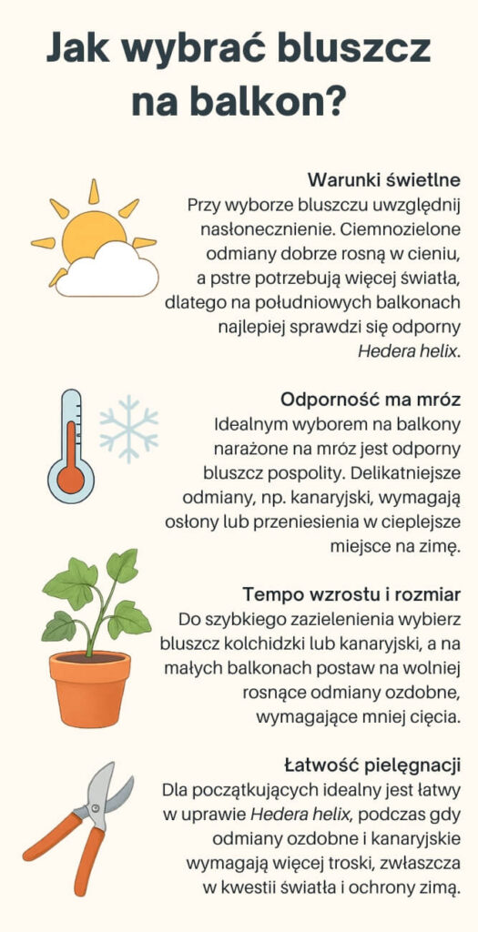 bluszcz na balkonie - jak wybrać