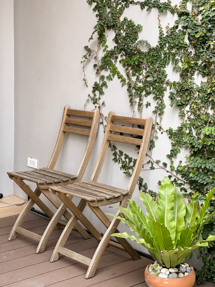 drobny bluszcz na ścianie balkonu