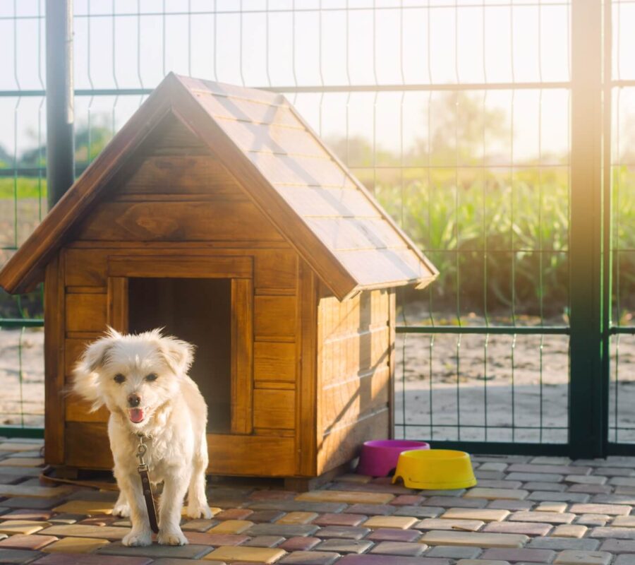 Buda dla psa – projekt i wykonanie. Instruktaż