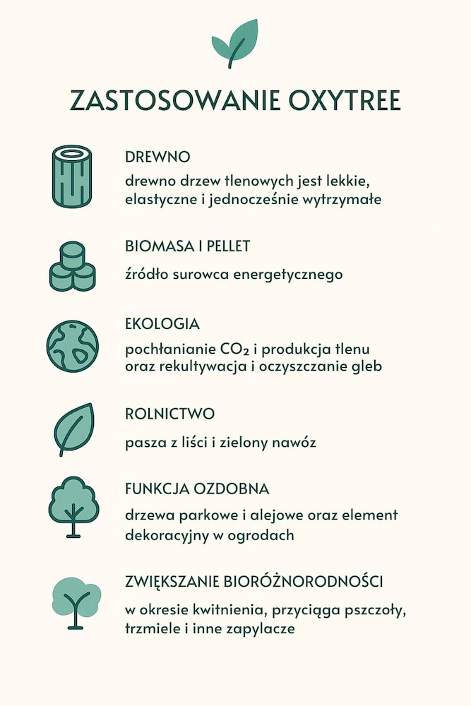 Po co hoduje się drzewa Oxytree? Infografika Drzewa tlenowce - zastosowanie w różnych sektorach przemysłu