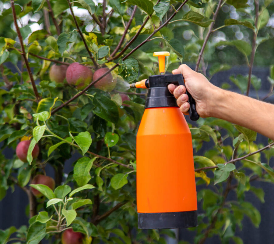 Jaki opryskiwacz akumulatorowy kupić? Poradnik