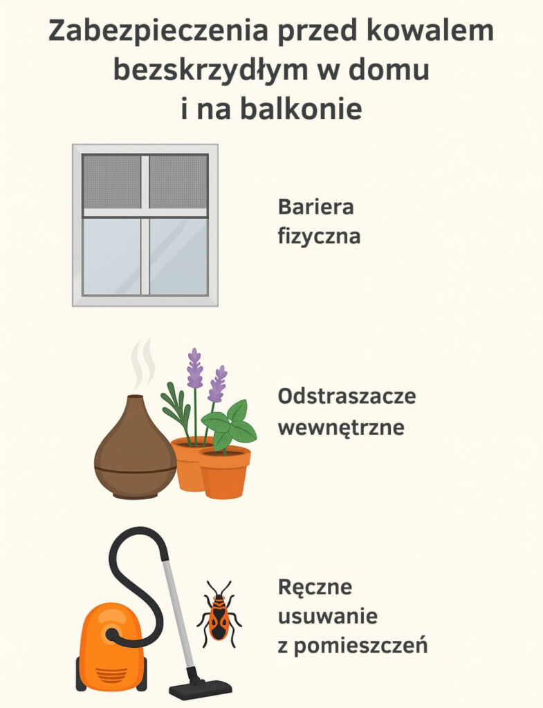 kowal bezskrzydły – jak się ich pozbyć wykorzystując zabezpieczenia kowal bezskrzydły – jak się ich pozbyć za pomocą zabezpieczeń