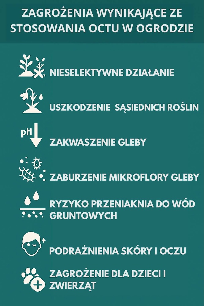 ryzyko używania octu na korzenie drzew 