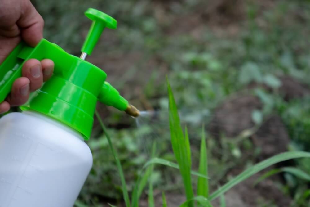 domestos na chwasty a naturalny oprysk