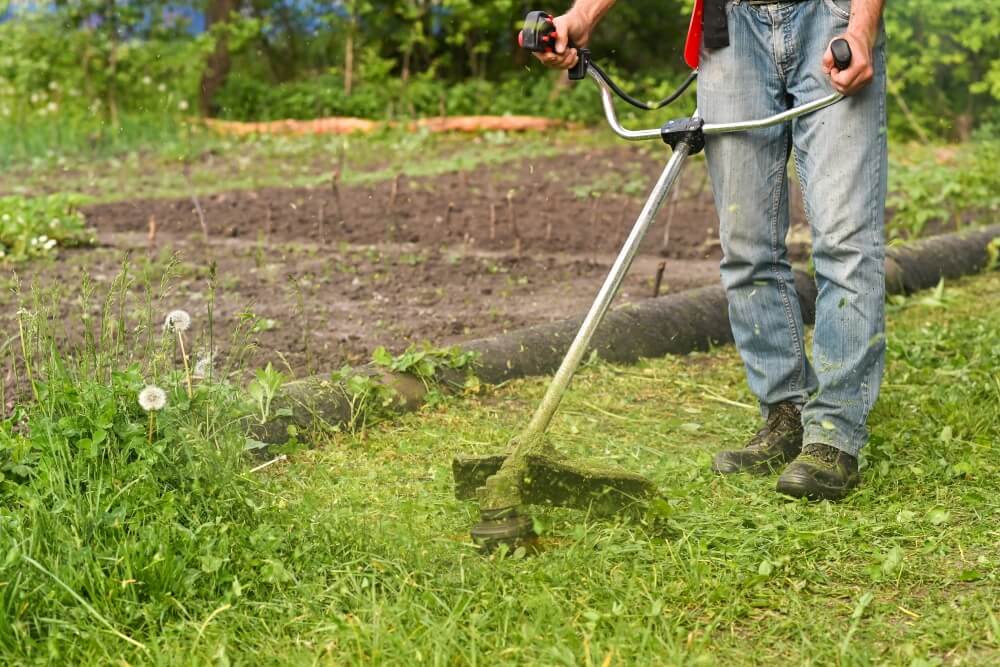 przycinanie trawnika