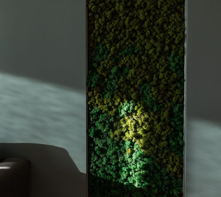 Jak zrobić mech na ścianie? Wskazówki krok po kroku