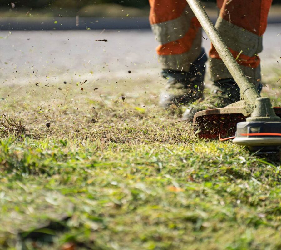 Wydajne koszenie dużych trawników – dlaczego warto postawić na model z napędem?